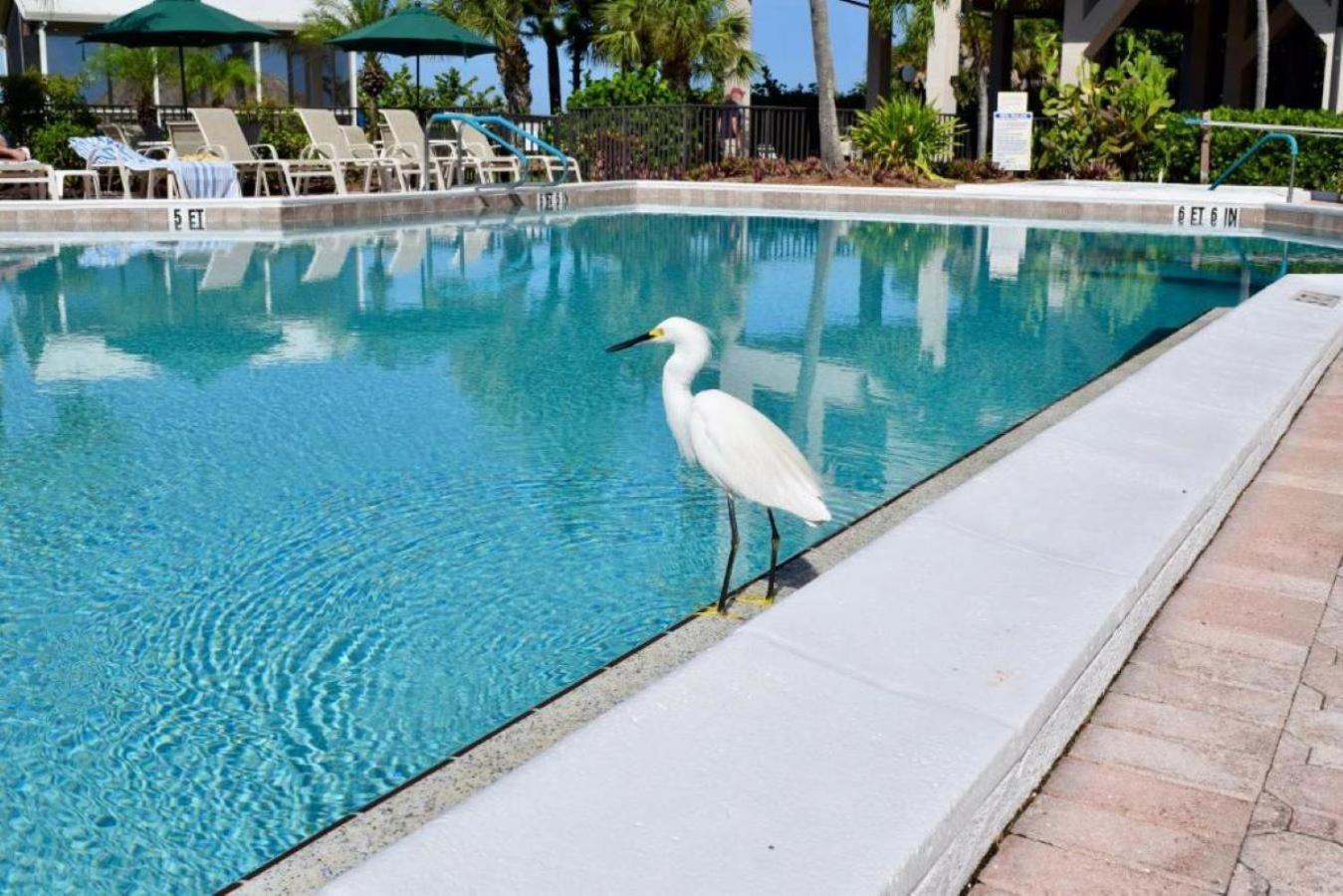 Caribbean Beach Club Fort Myers Beach Exterior foto